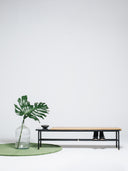 Banco-Sapateira Norah